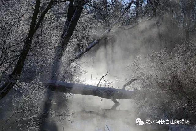 投个篮