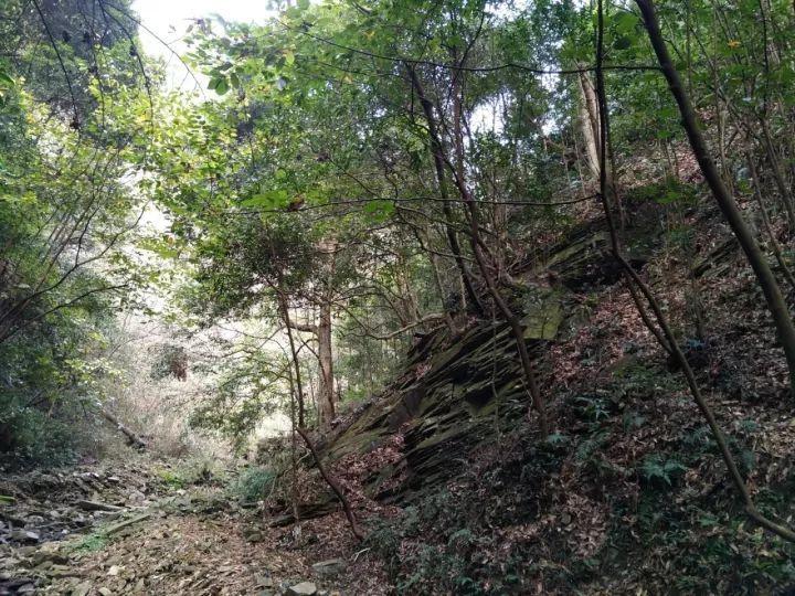 足协先找过渡主帅？旅美专家建议三大土帅，冠军教头+贾秀全