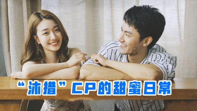 缅甸野象遭盗猎:国家动荡导致保护不力,野象数量岌岌可危